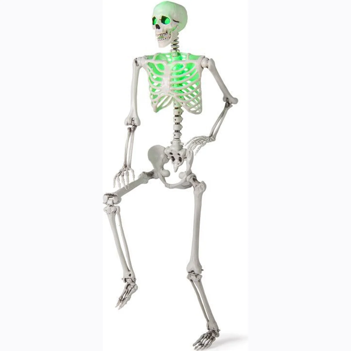 5.5 FT Halloween Skeleton Life-Size Posable for Indoor Outdoor Decoration