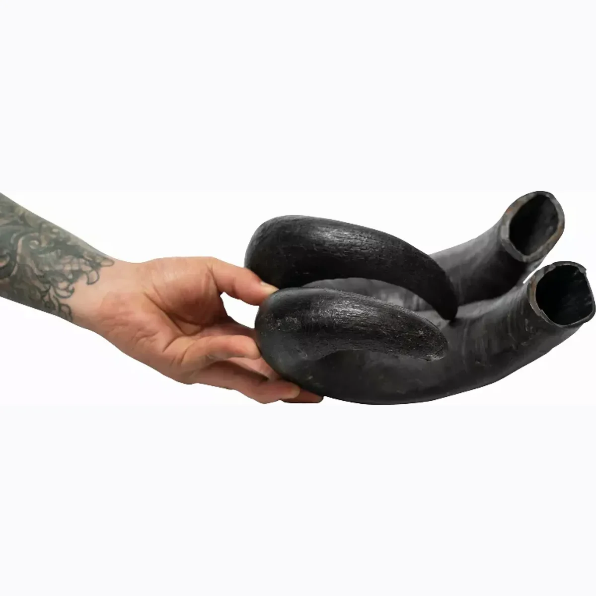 WATER BUFFALO HORN-100% Natural, Long-Lasting, Grain-Free, Gluten-Free, Dog Dental Treats & Chews-2 COUNT-15 oz