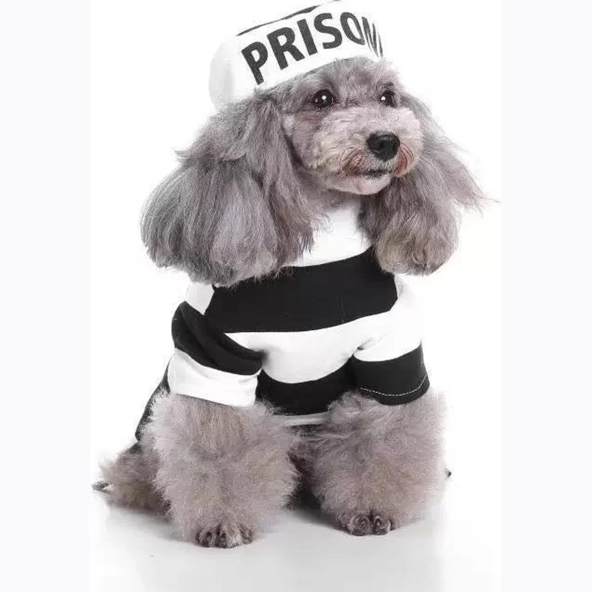 Pet Life Striped Retro Inmate Prisoner Pet Dog Costume Uniform